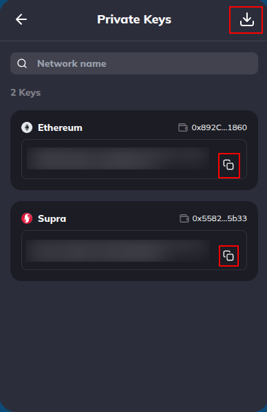 Copy or download the private key